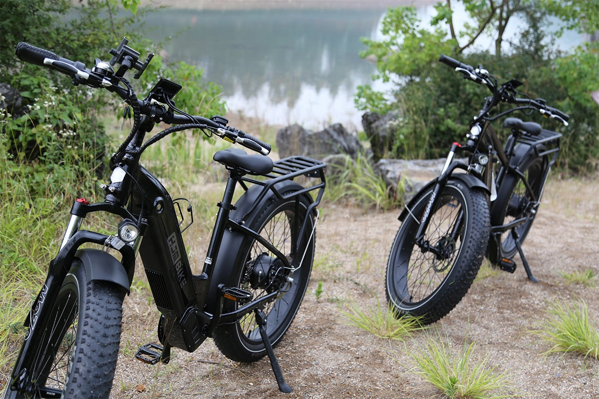 Joyrider Step-Thru Fat Tire Ebike